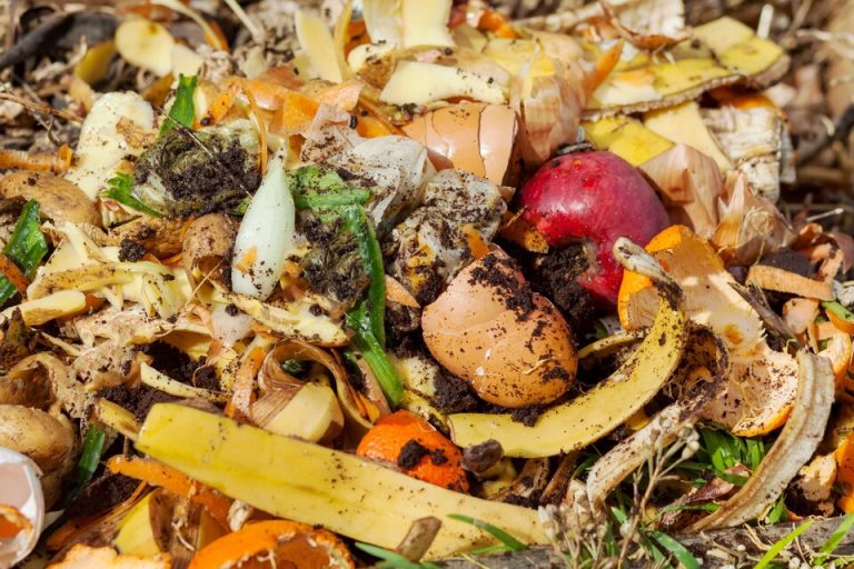 Organic Waste Management: Composting and Biogas Production for Sustainable Waste Solutions